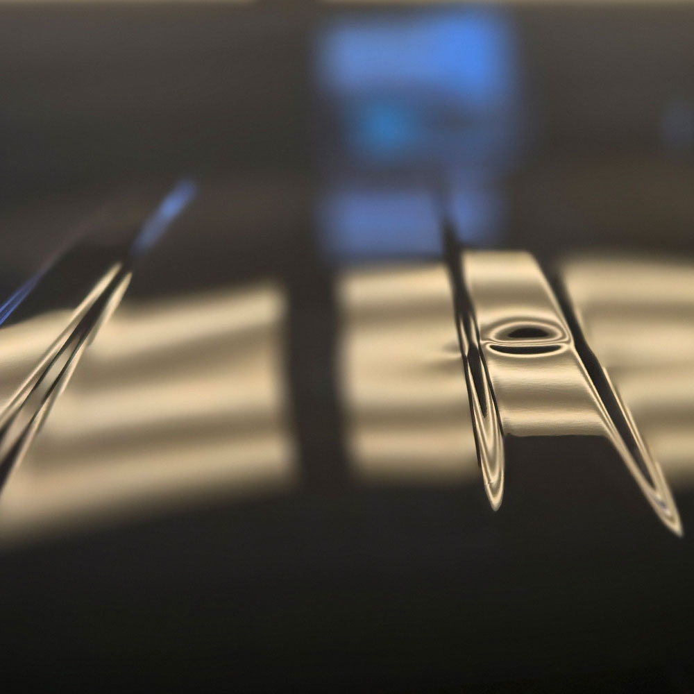 strecha_pred_2026_01